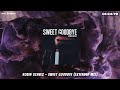 Robin Schulz - Sweet Goodbye (Extended Mix)