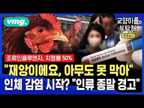 재앙이에요, 지금 아무도 못 막아...인체 감염 시작되나? 인류 종말 경고