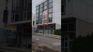 2024.11.28: Seattle Lower Queen Anne-Walking My Beautiful Neighborhood on Thanksgiving Day