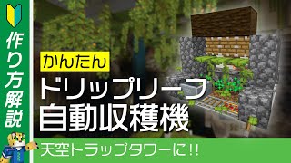 【天空トラップタワーに！】自動ドリップリーフ増殖装置の作り方【統合版マイクラ】1.19+