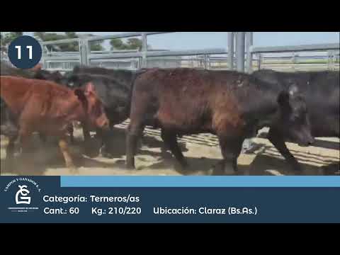 Lote M Y H - Claraz Bs As