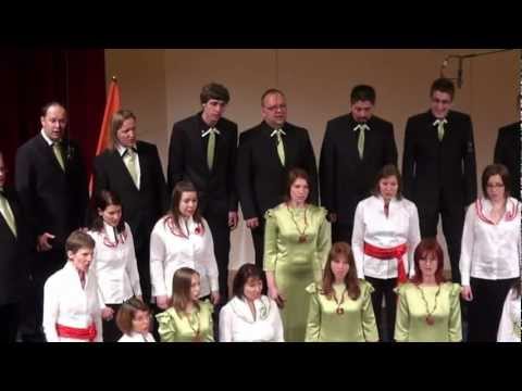 NAŠA PESEM 2012, Maribor, MePZ Vox Carniolus, zborovodkinja: Eva Jelenc Drozg