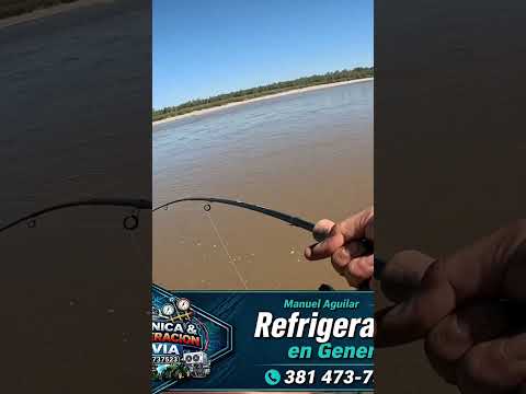 Este lugar CAMBIO TOTALMENTE!! LOS GOMEZ PESCA Y COCINA #pesca #fishing #fish #tucuman #argentina