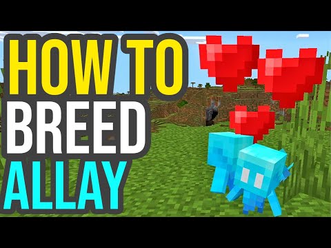 How To Breed ALLAYS in Minecraft! - Allay Duplication Tutorial!