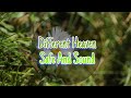 Different Heaven Safe And Sound Lyrics DGMusicLab