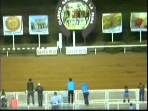 Resumen Miercoles, 15 de Febrero de 2012 - Santa Rita