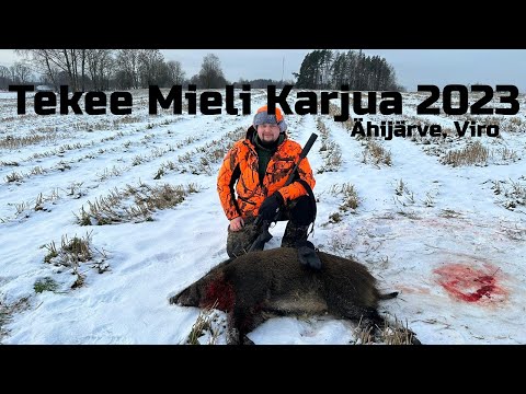 TEKEE MIELI KARJUA 2023 | Villisikajahtia Virossa