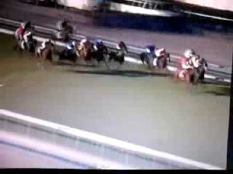 breeders cup juvenile fillies turf 2013