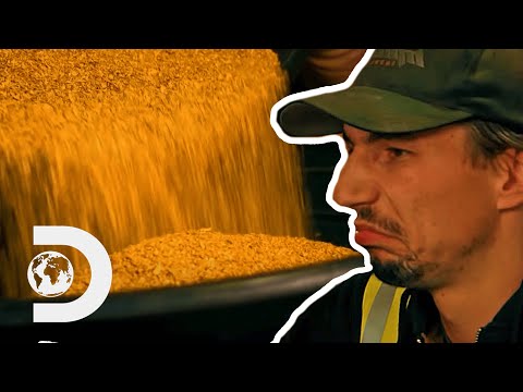 Weigh In Brings Parker's Season Total To Over $5.5 Million | Season 10 | Gold Rush