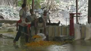 Schwefelraffinerie am Kawah ijen