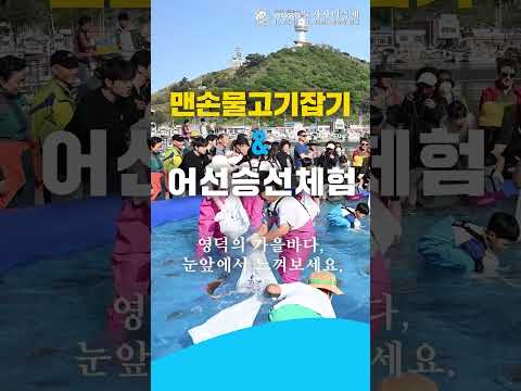 가자미? 오징어? 양미리? 직접 구워먹는다고?? #영덕물가자미축제