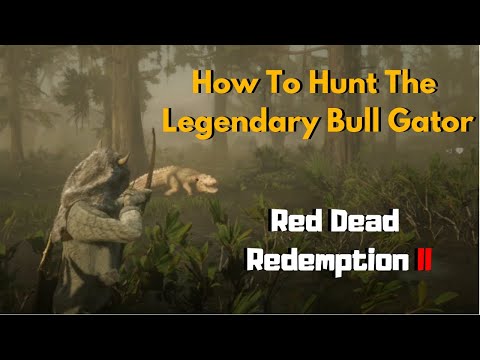 How To Find And Kill Legendary Bull Gator Red Dead Redemption 2