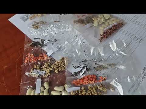 Entrega de Semillas y Plantines Otoño Invierno 2026