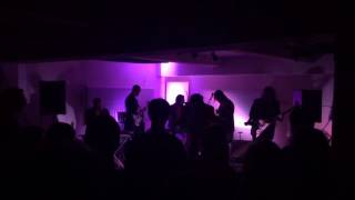 Mike Adams At His Honest Weight "Ideas Man"