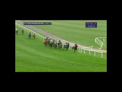 2014 Grand Annual Chase Challenge Cup - Cheltenham Festival