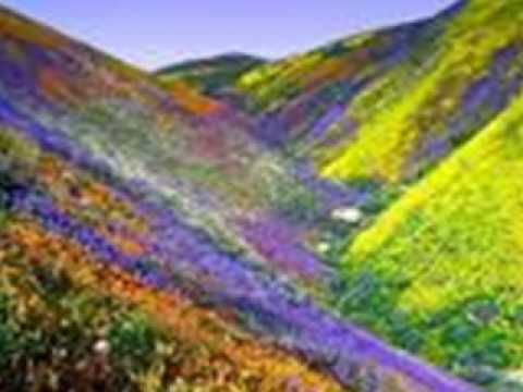 La canzone della primavera