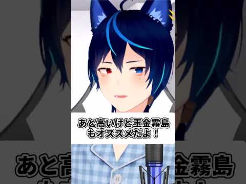 オススメされた商品を読み間違える十七夜いな