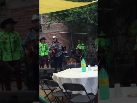 José arana ( en vivo)