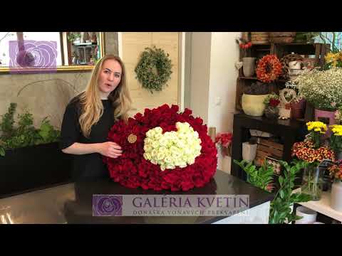 download lagu mp3 mp4 Kvety Bratislava Online, download lagu Kvety Bratislava Online gratis, unduh video klip Kvety Bratislava Online