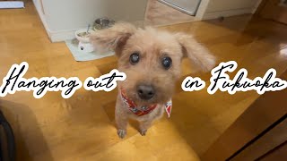 【Japan】Hanging out in Fukuoka 天神でメガネ作った