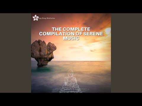 Journey Through My Mind