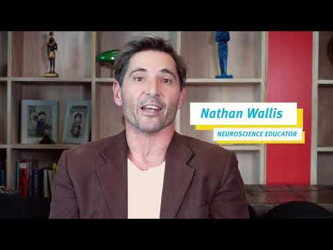 Understanding the teenage brain