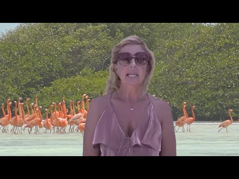 Bonaire SALT mines.What to know about the slavery. Sailing Ocean Fox Ep 74