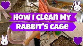 How I Clean My Rabbit's Cage