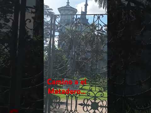 Calle lezica entre colon y Lézica, barrio de Montevideo antiguo....