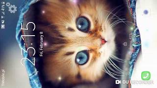 Kittens Live Wallpaper
