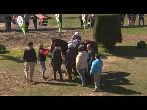 CARRERAS SINT PAYSANDU 220811 c04 1° RED MAMBA