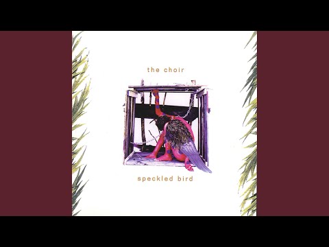 Speckled Bird - The Choir