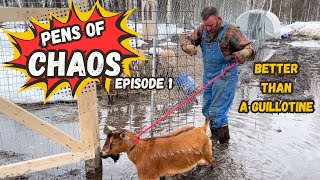 ALASKAN FARM BREAKUP SEASON - PENS of CHAOS episode 1 - HOMESTEADING ALASKA