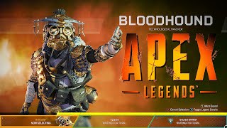 Apex Legends - Bloodhound Gameplay Win (No commentary)