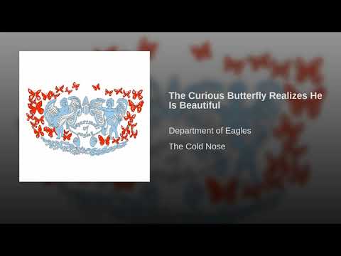 Video thumbnail for The Curious Butterfly Realizes He Is Beautiful