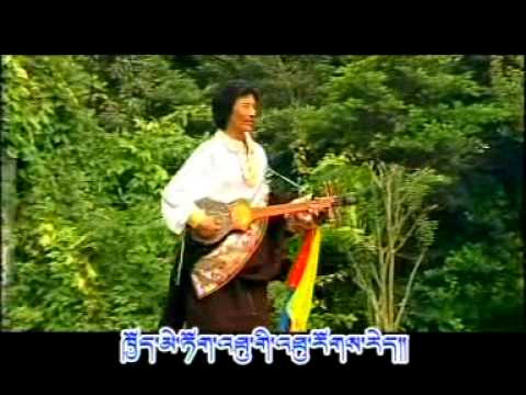 tibetan song our school by dorjee