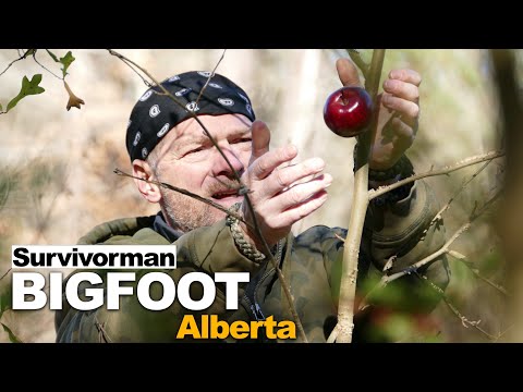 Survivorman Bigfoot | Episode 1 | Alberta | Les Stroud | Todd Standing