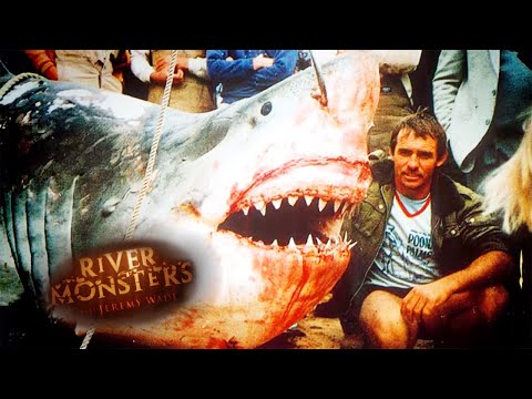 ホホジロザメよりも危険なサメ |オオメジロザメ |リバーモンスター