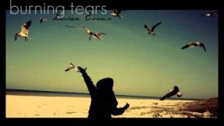 Burning Tears - Lauren Evans w/Lyrics+download