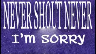 I&#39;m Sorry-Never Shout Never