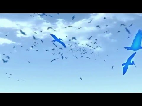 Helikond - Sinikirja Lindu