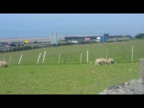 Flying scotsman train passing through North Wales 15/6/16