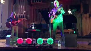 Robyn Hitchcock with Annie Barbazza - MADONNA OF THE WASPS