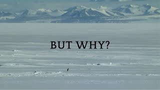 Mountain Penguin x L’Amour Toujours Gigi D’Agostino Organ Version