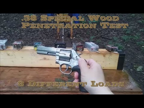 .38 Special Wood Penetration Test - 8 Different Loads
