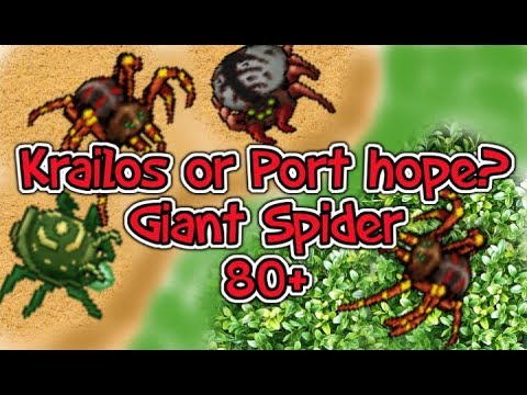 Tibia Giant Spider 80+ Paladin