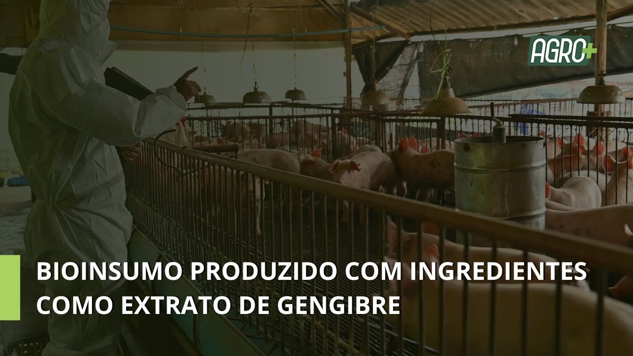 Bioinsumo substitui Antibiótico em Aves e Suínos.
