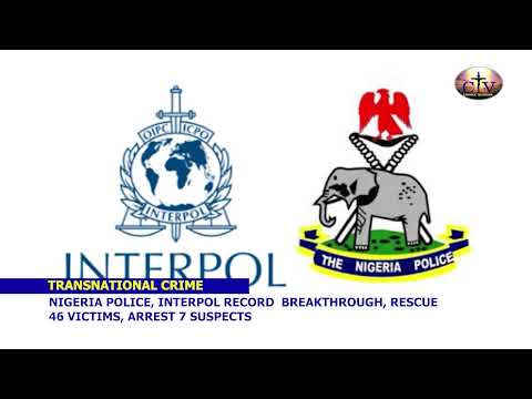 Nigeria Police, Interpol Record Breakthrough, Rescue 46 Victims, Arrest 7 Suspects