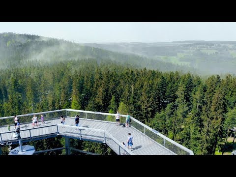 Treetop Walkway in Lipno nad Vltavou
