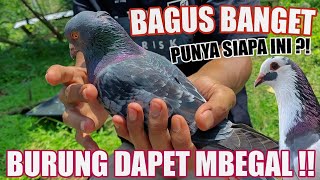 Download lagu EIGHT BLACK DOVE SPILLS CAN BE REDEEMED OR PURCHASED mp3